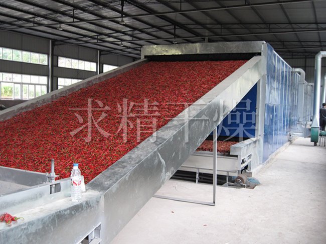 DW单层带式干燥机